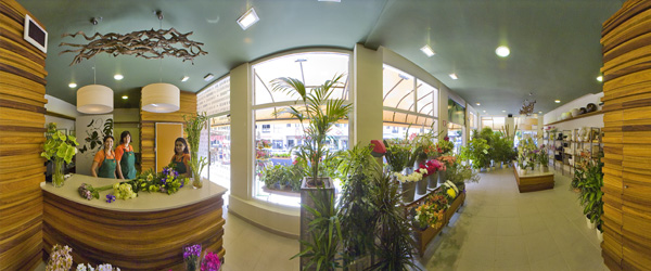 Eiviss Garden